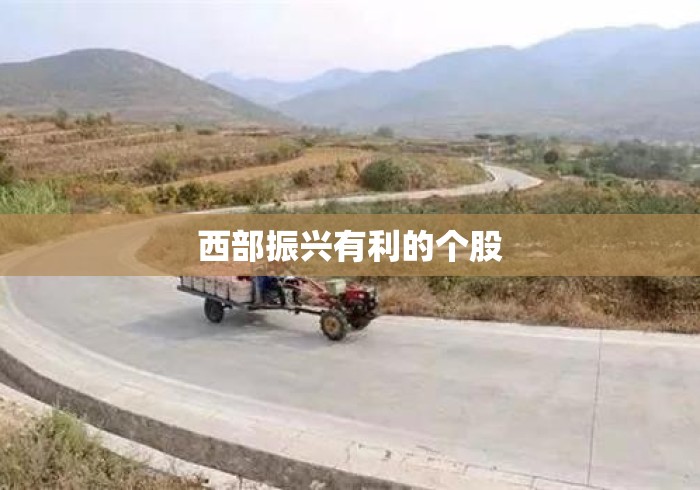 西部振兴有利的个股 西部振兴有利的个股