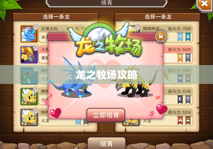 龙之牧场攻略