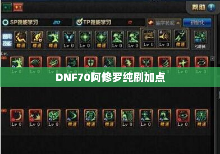 DNF70阿修罗纯刷加点