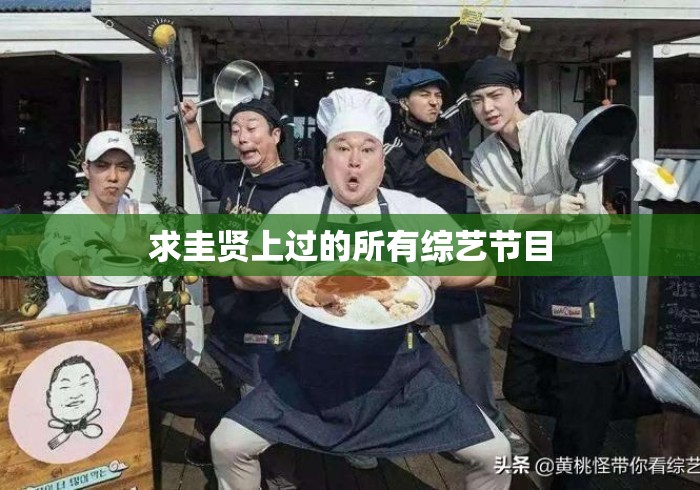 求圭贤上过的所有综艺节目 求圭贤上过的所有综艺节目