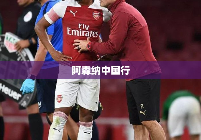 阿森纳中国行 阿森纳中国行