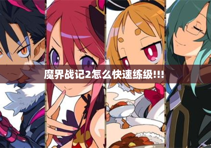 魔界战记2怎么快速练级!!! 