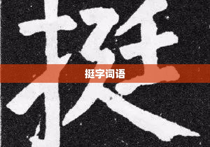 挺字词语