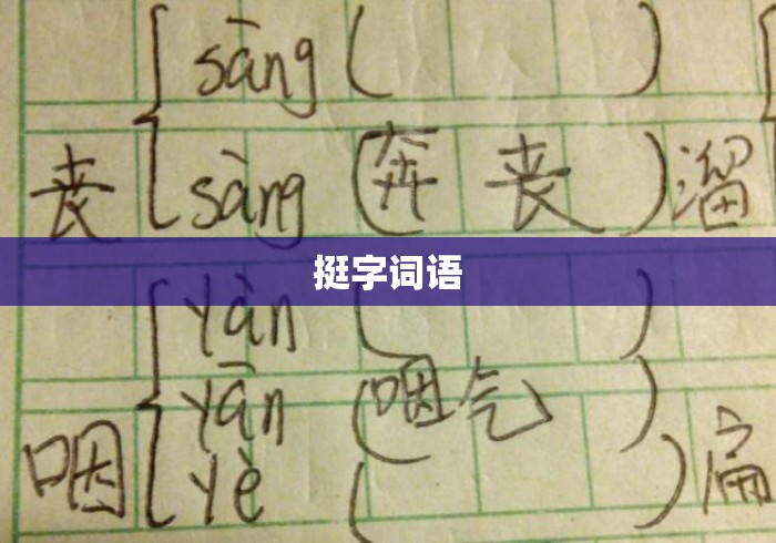 挺字词语