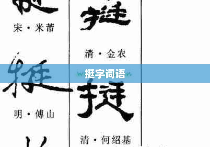 挺字词语