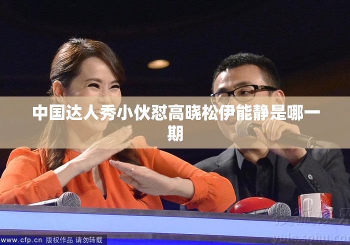 中国达人秀小伙怼高晓松伊能静是哪一期