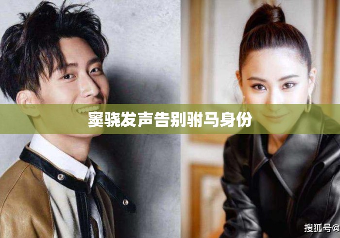 窦骁发声告别驸马身份 窦骁发声告别驸马身份