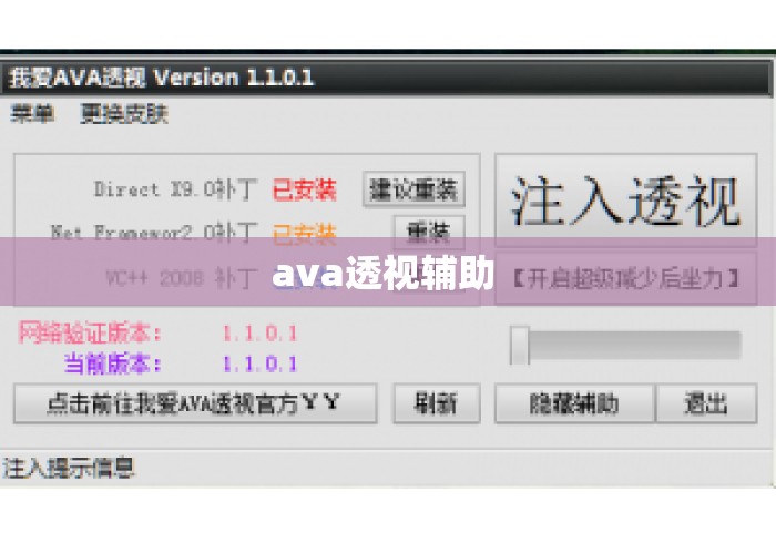 ava透视辅助 
