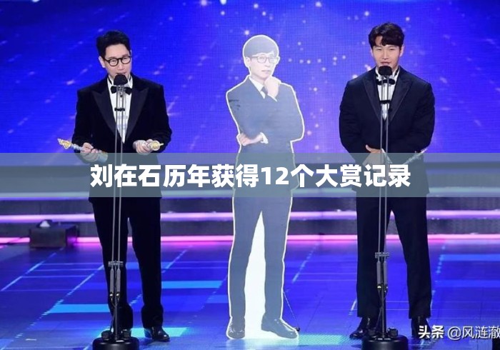 刘在石历年获得12个大赏记录