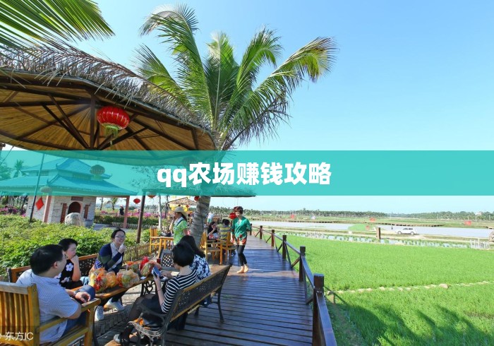 qq农场赚钱攻略 