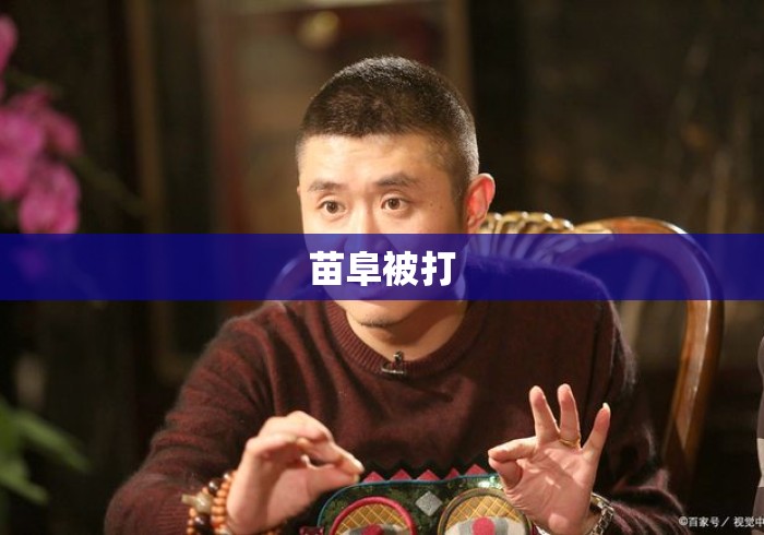 苗阜被打