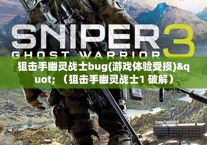 狙击手幽灵战士bug(游戏体验受损)" （狙击手幽灵战士1 破解）