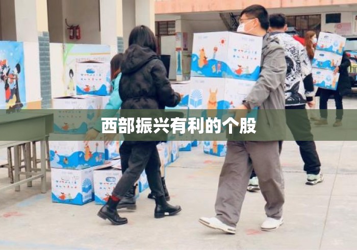 西部振兴有利的个股