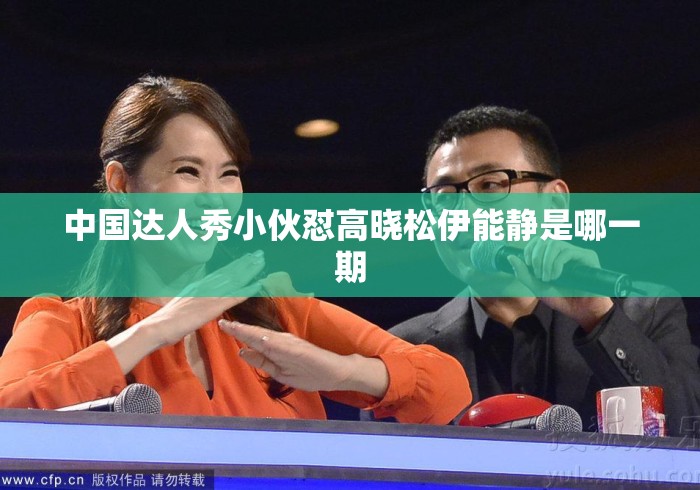 中国达人秀小伙怼高晓松伊能静是哪一期