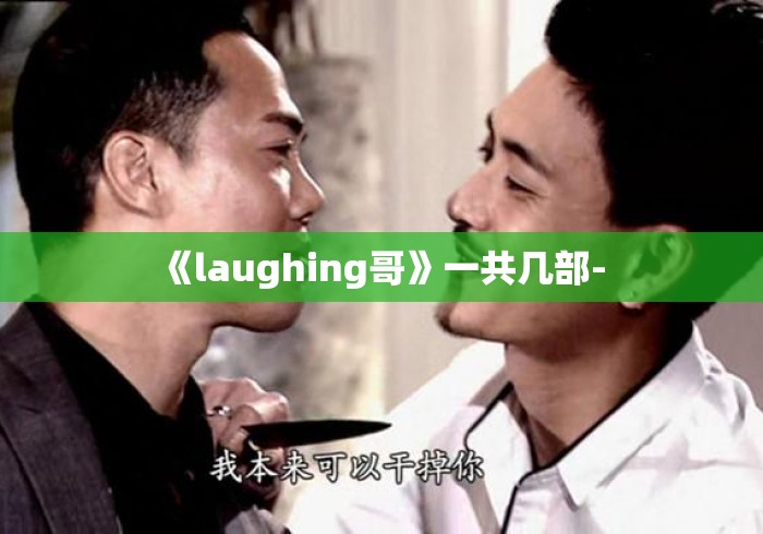 《laughing哥》一共几部- 《laughing哥》一共几部-