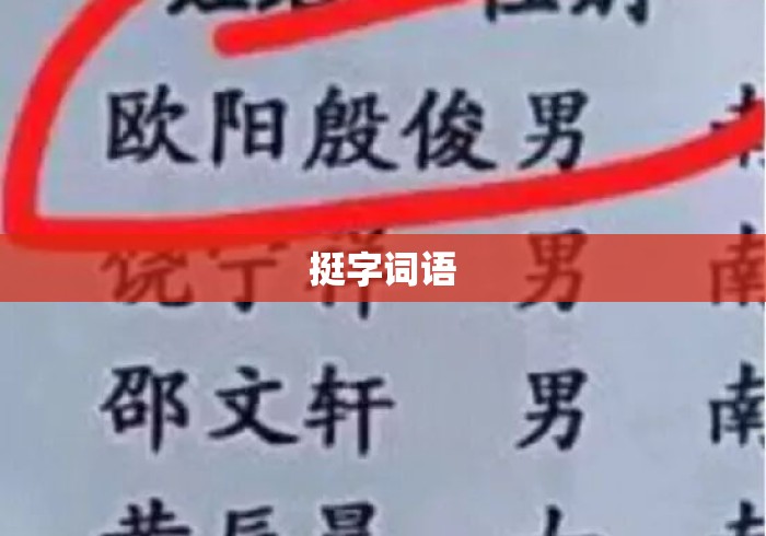 挺字词语
