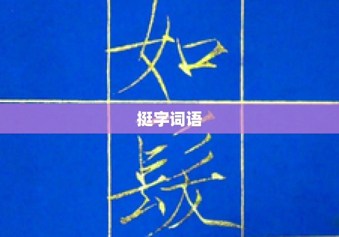 挺字词语