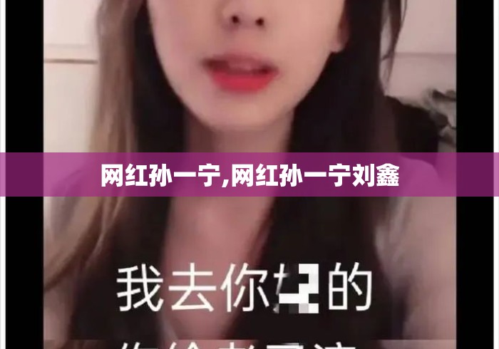 网红孙一宁,网红孙一宁刘鑫