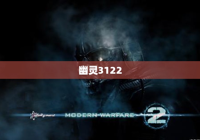 幽灵3122
