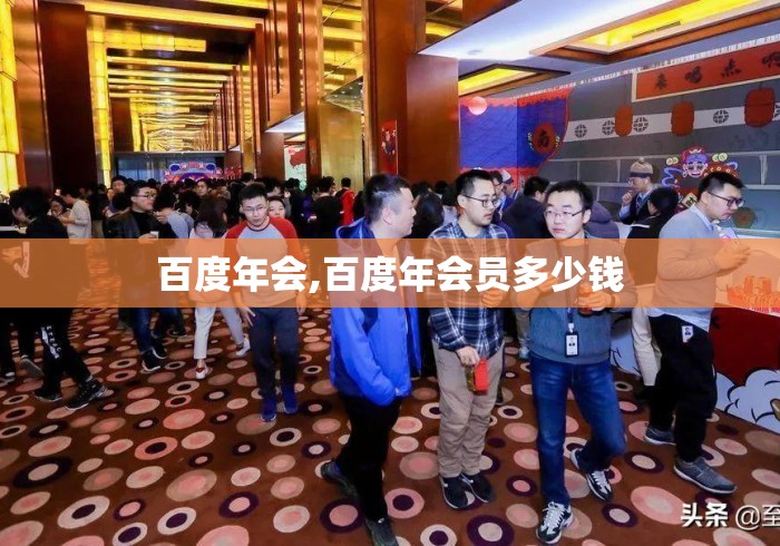 百度年会,百度年会员多少钱