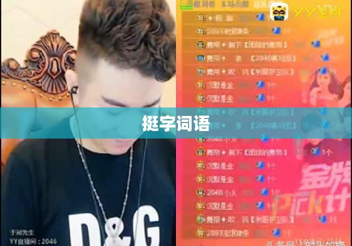挺字词语
