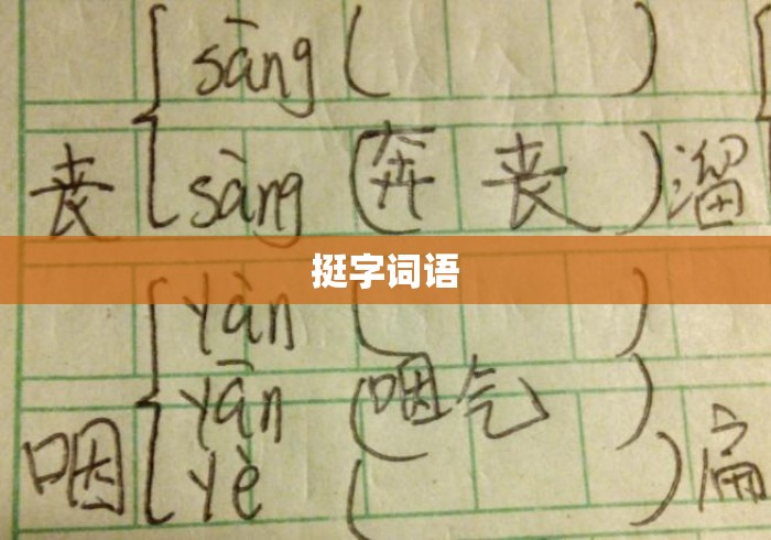 挺字词语