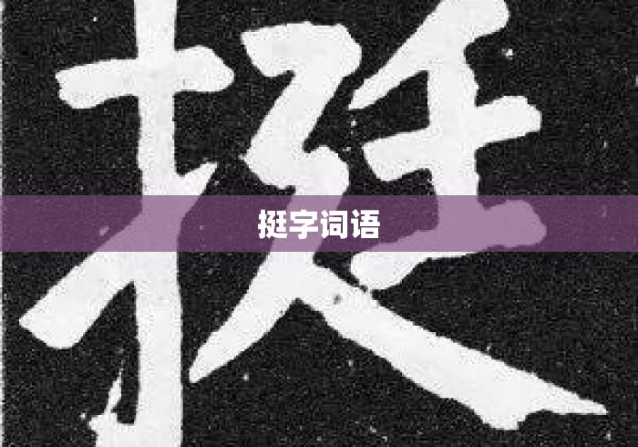 挺字词语