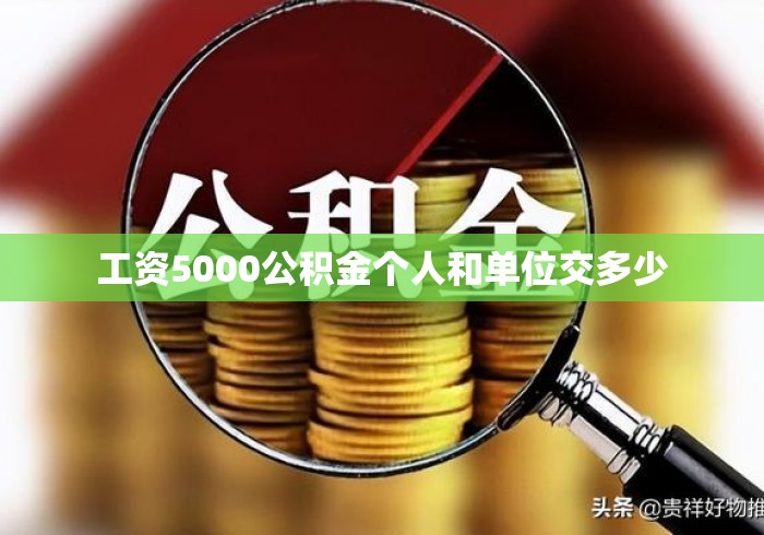 工资5000公积金个人和单位交多少