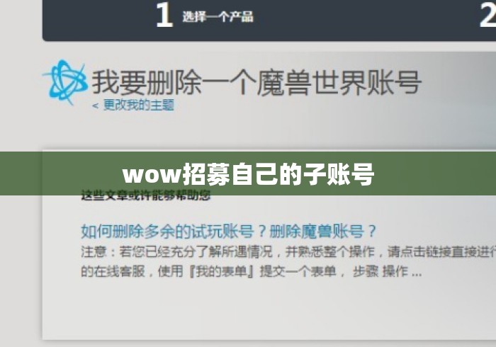 wow招募自己的子账号