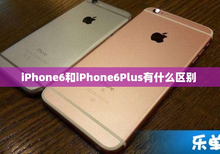 iPhone6和iPhone6Plus有什么区别 