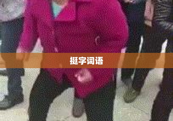 挺字词语 挺字词语