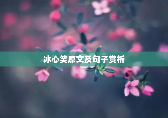 冰心笑原文及句子赏析