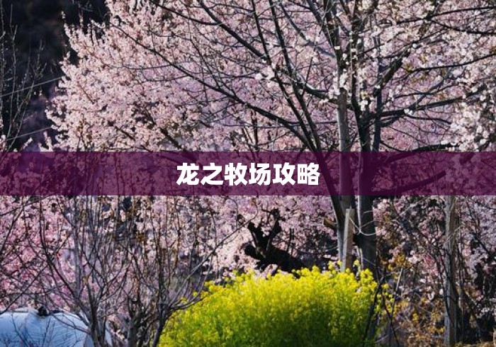 龙之牧场攻略 龙之牧场攻略