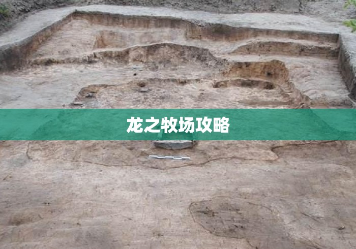 龙之牧场攻略 龙之牧场攻略