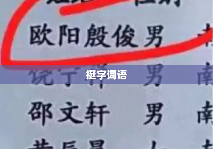 挺字词语