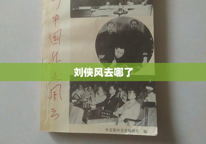 刘侠风去哪了