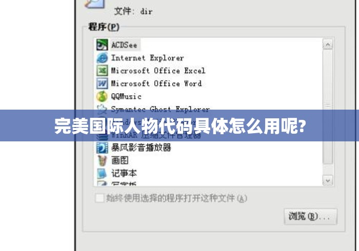 完美国际人物代码具体怎么用呢?