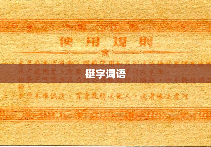 挺字词语