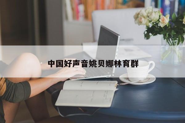 中国好声音姚贝娜林育群