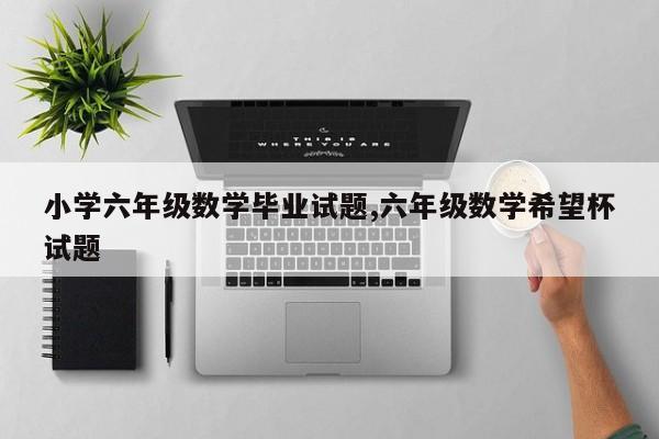 小学六年级数学毕业试题,六年级数学希望杯试题