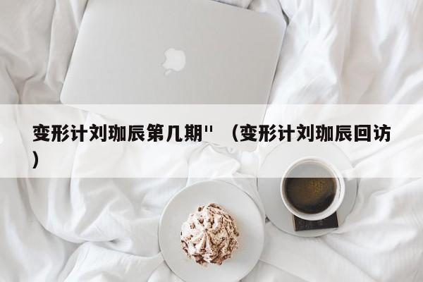 变形计刘珈辰第几期